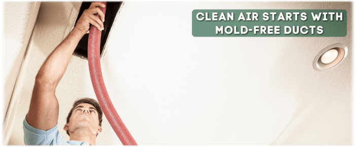 Air Duct Mold Removal in Tinley Park IL