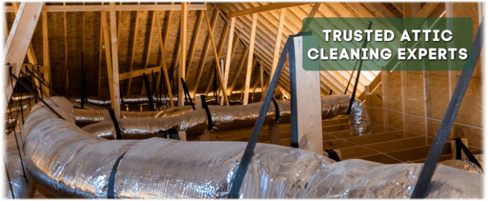 Attic Cleaning Tinley Park IL