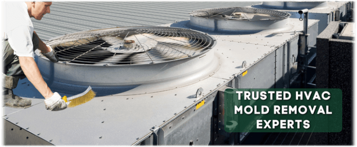 HVAC Mold Removal Tinley Park IL